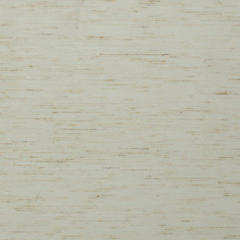 Dark Room - Blackout